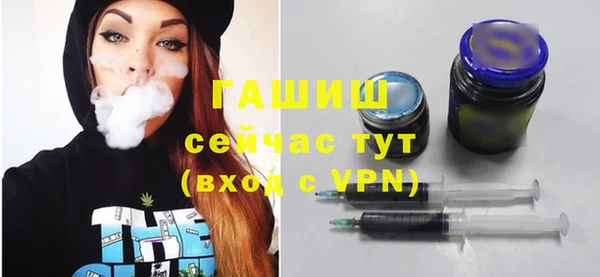 хмурый Алексин