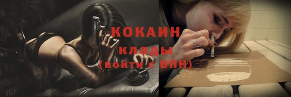 PSILOCYBIN Аркадак