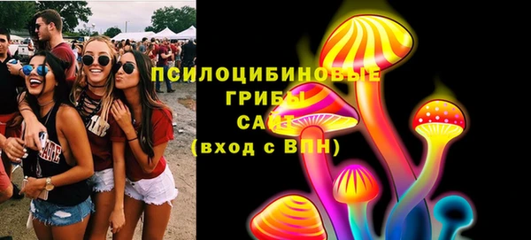ПСИЛОЦИБИНОВЫЕ ГРИБЫ Алзамай