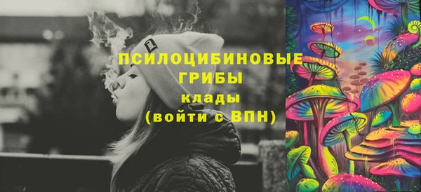 ПСИЛОЦИБИНОВЫЕ ГРИБЫ Алзамай