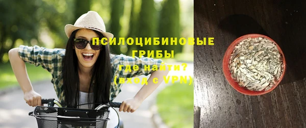 стафф Алексеевка