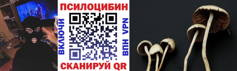 OMG   где продают   Переславль-Залесский  Галлюциногенные грибы Magic Shrooms 