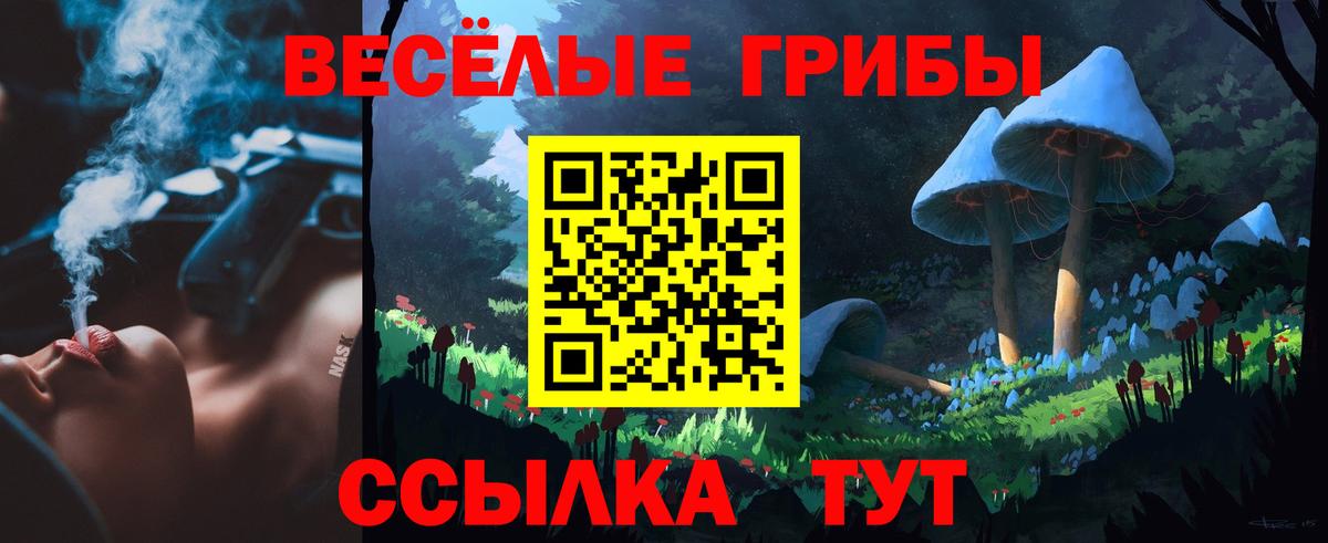 Переславль-Залесский  Псилоцибиновые грибы Magic Shrooms  Вход с VPN 